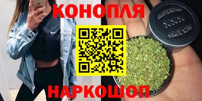 прущая мука Шебекино